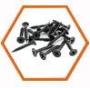 Alloy Steel F9 Screw