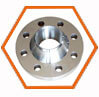 SMO 254  Weld Neck Flanges