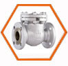 Alloy 20 Check Valves
